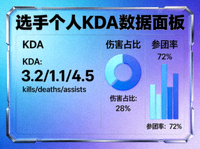 选手个人多维KDA数据面板配图，包含伤害占比与参团率统计